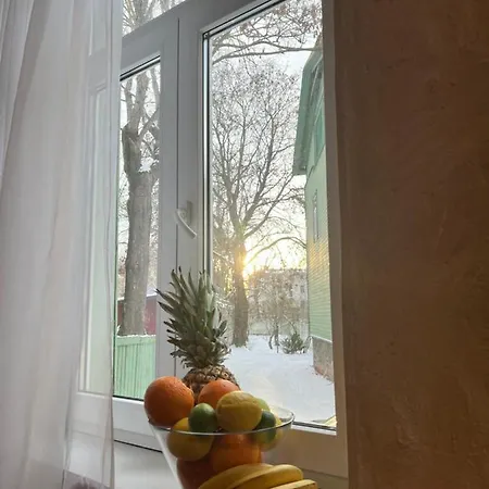 Magical Kalamaja Near Old Town Apartment Tallinn