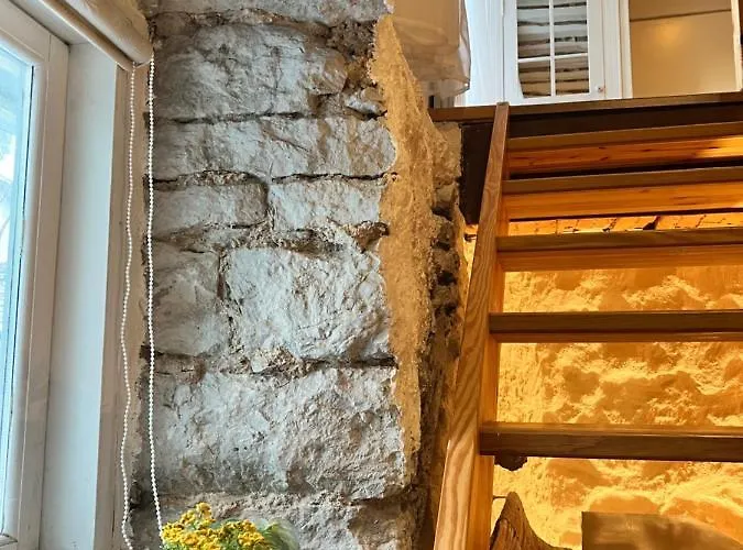 Magical Kalamaja Near Old Town Апартаменты