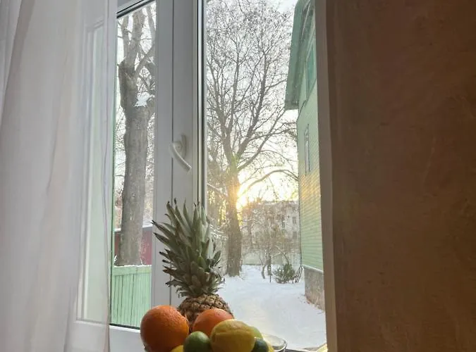 Magical Kalamaja Near Old Town Appartement Tallinn