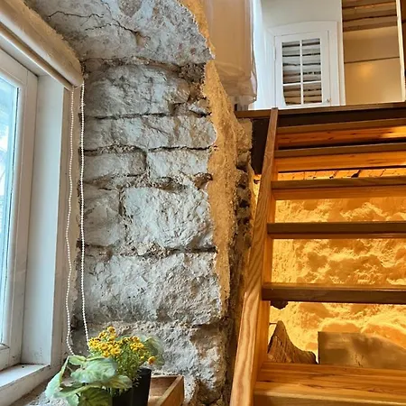 Magical Kalamaja Near Old Town Διαμέρισμα